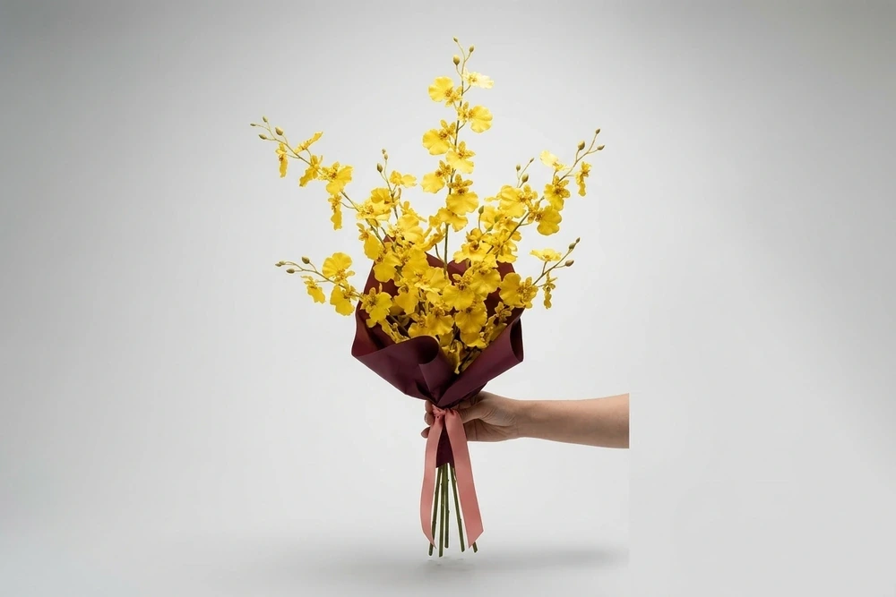 Orquídeas